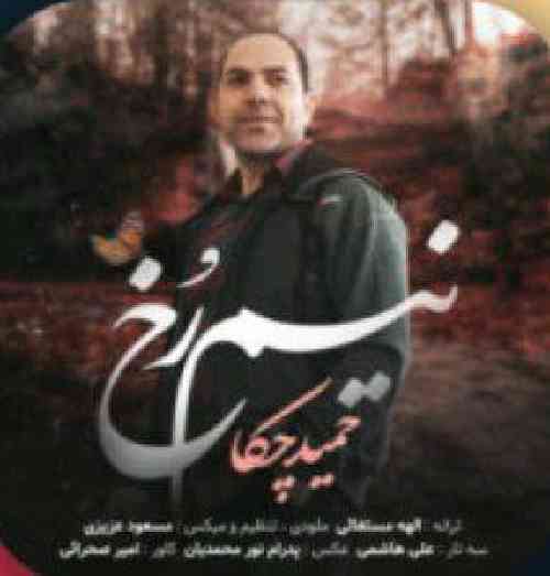 حمید چکا نیم رخ